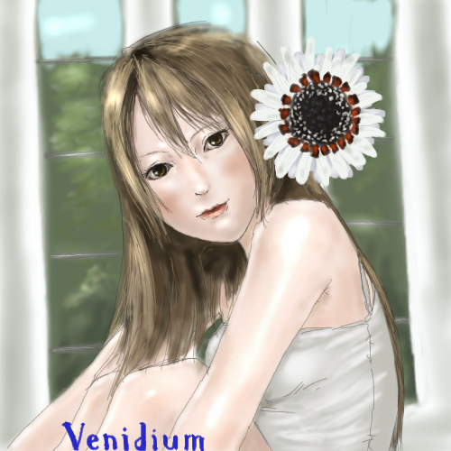 Venidium